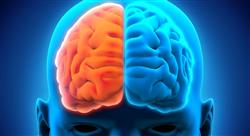especializacion neurología de la conducta para docentes