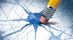 curso bioquimica cerebral docentes Tech Universidad