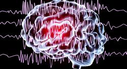 estudiar bioquimica cerebral docentes Tech Universidad