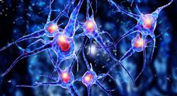 formacion bioquimica cerebral docentes Tech Universidad