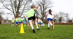 master actividad física y el deporte en la educación primaria