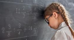 posgrado didáctica y conocimiento de las matemáticas en educación primaria