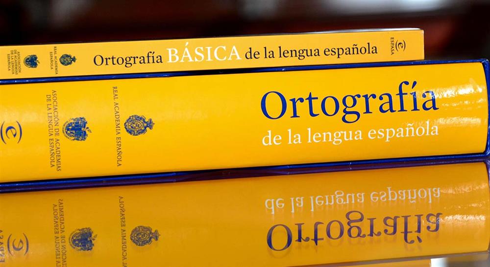 formacion didáctica de la lengua española en educación primaria