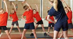 curso didáctica de la educación física y el deporte en educación primaria