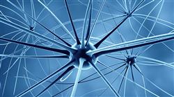 diplomado online neurociencias aplicadas