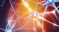 curso online neuroeconomía