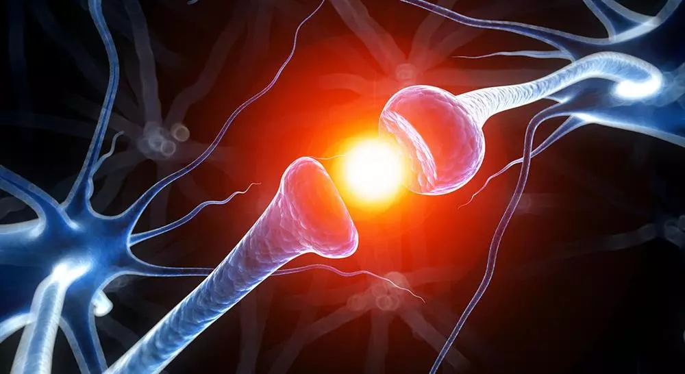 posgrado neuroeducación