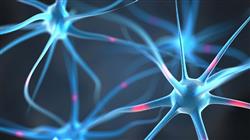 formacion neuroliderazgo