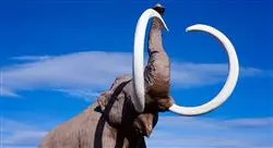 curso enseñanza de la prehistoria para docentes de secundaria