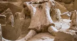 diplomado enseñanza de la prehistoria para docentes de secundaria