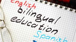 experto especializacion gestion educacion bilingue infantil