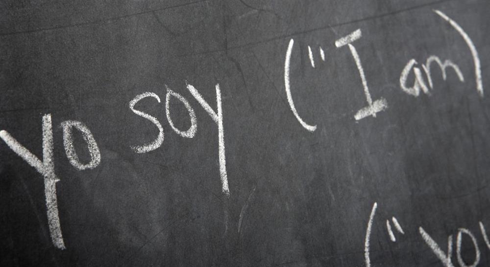 especializacion metodología y didáctica de la enseñanza de la lengua castellana como segunda lengua