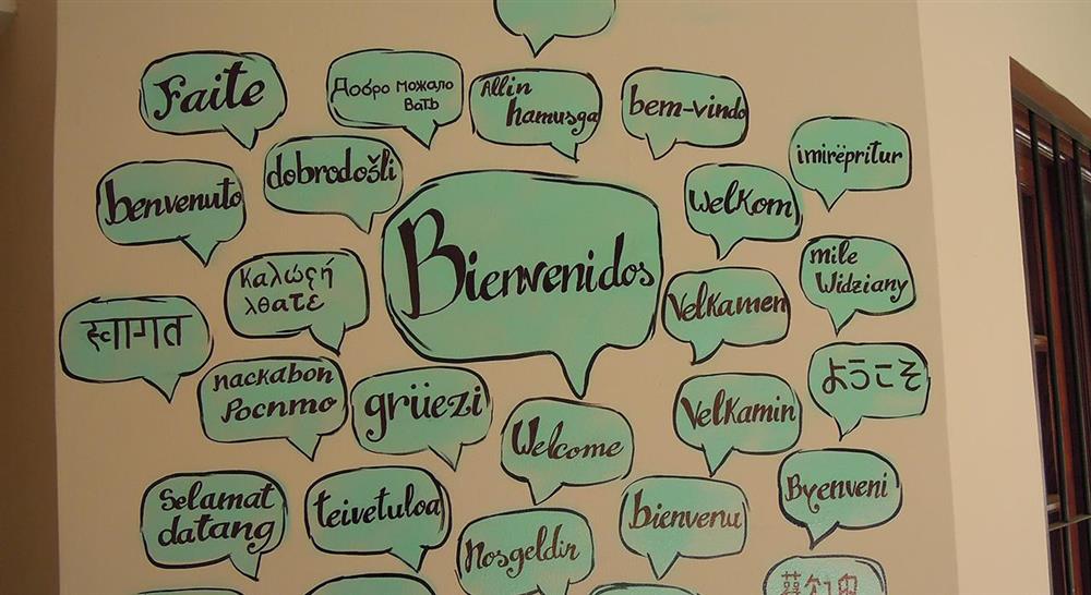 formacion investigación y evaluación educativa en la enseñanza del español como segunda lengua