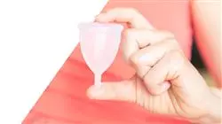 ##IMAGE##
