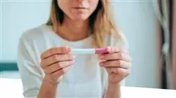 ##IMAGE##
