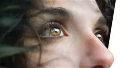 ##IMAGE##