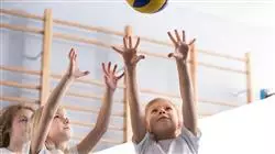 ##IMAGE##