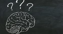 maestria neuropsicologia clinica docen