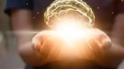 ##IMAGE##