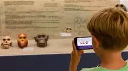 ##IMAGE##