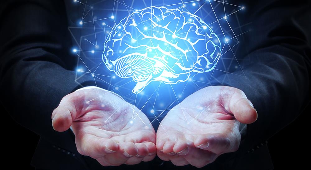 especializacion metafísica y filosofía del conocimiento
