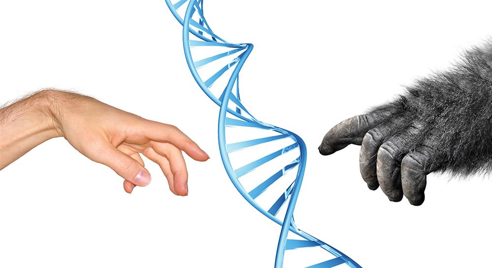 especializacion antropología filosófica y teoría de la cultura
