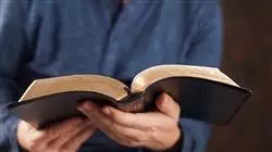 ##IMAGE##