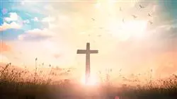 ##IMAGE##