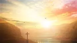 ##IMAGE##