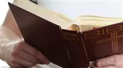 ##IMAGE##