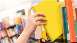 diplomado online bioetica filosofia derecho