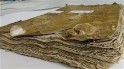 ##IMAGE##