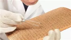 ##IMAGE##