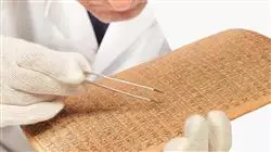 ##IMAGE##