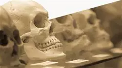 ##IMAGE##