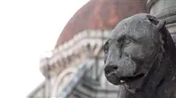 ##IMAGE##