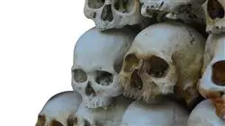 ##IMAGE##