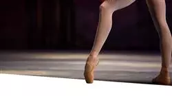 ##IMAGE##