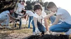 diplomado online cooperacion derecho ambiental