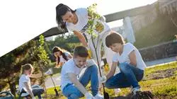 posgrado cooperacion derecho ambiental