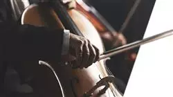 ##IMAGE##