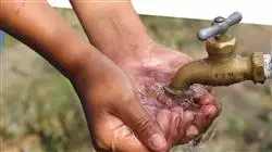 ##IMAGE##
