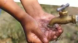 ##IMAGE##