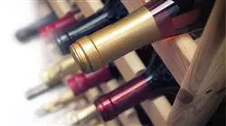 especializacion elaboracion vinos