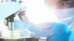 ##IMAGE##