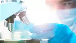 ##IMAGE##
