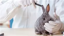 ##IMAGE##