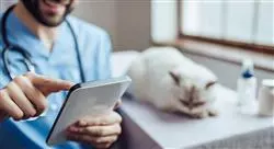 curso online el plan de negocio en un centro veterinario