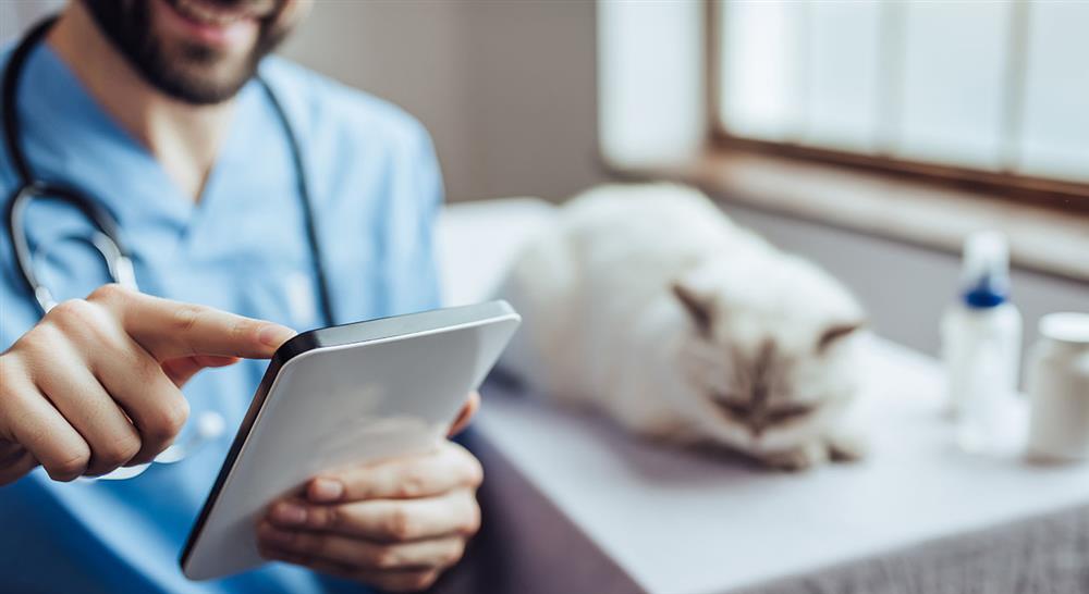 formacion finanzas para la gestión de centros veterinarios