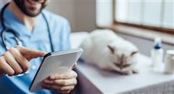 formacion finanzas para la gestión de centros veterinarios